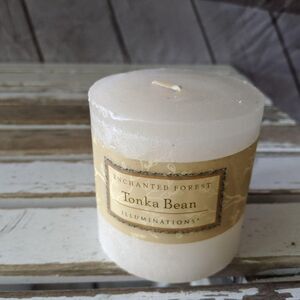 New Tonka Bean Enchanted Forest‎ by Illuminations R